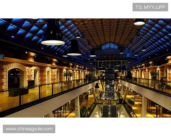 了解ag亚游娱乐的会员制度与奖励机制提升你的游戏积分与福利